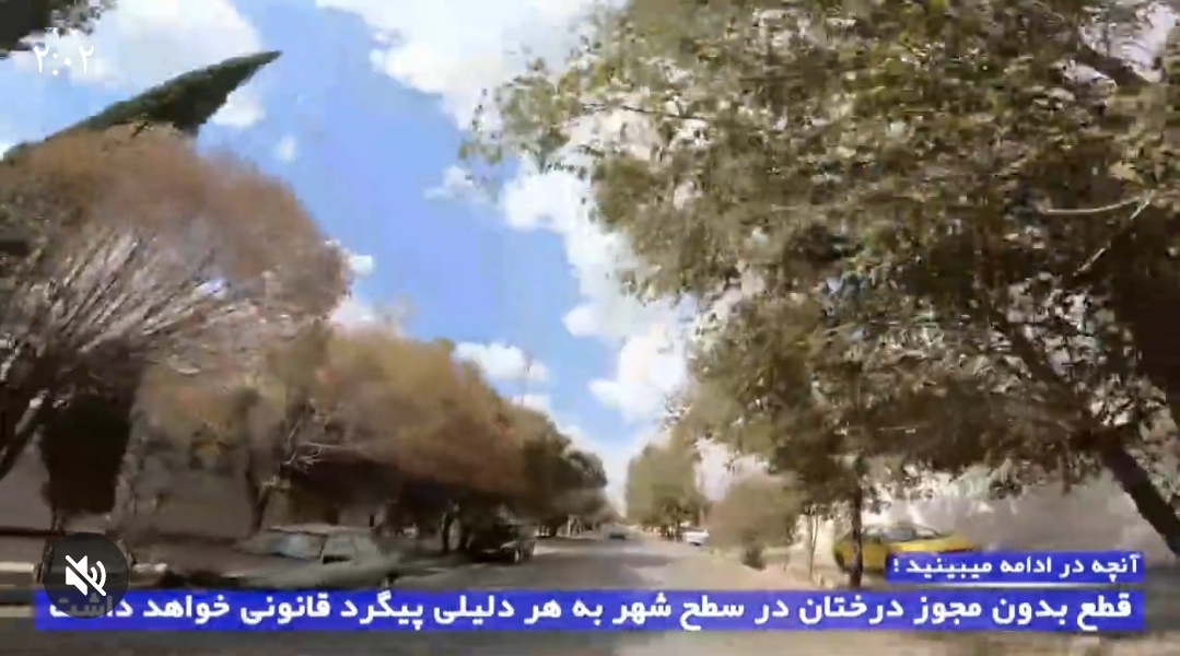 تصویر قطع بدون مجوز درختان در سطح شهر به هر دلیلی پیگرد قانونی دارد