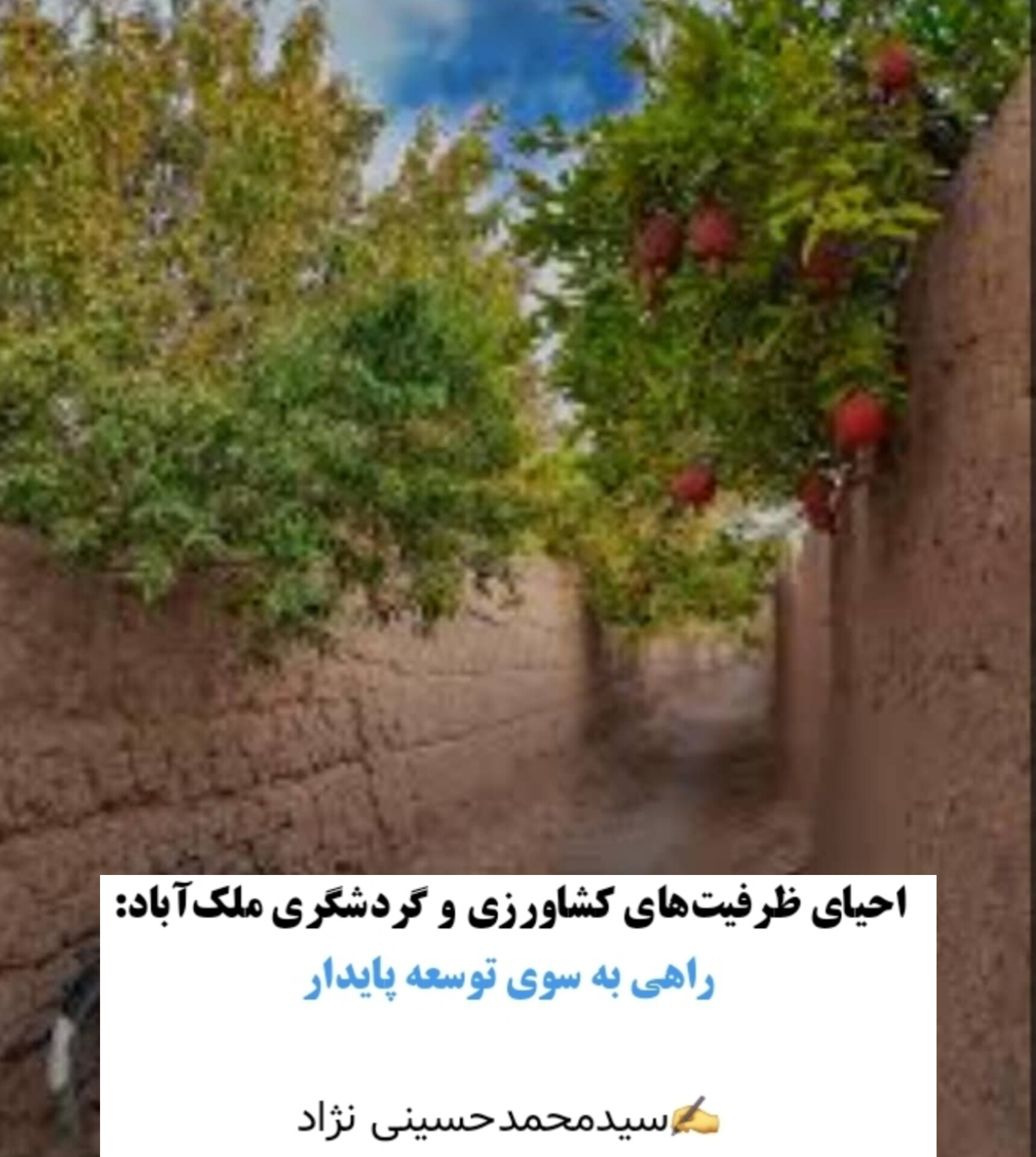 تصویر احیای ظرفیت‌های کشاورزی و گردشگری ملک‌آباد: راهی به سوی توسعه پایدار